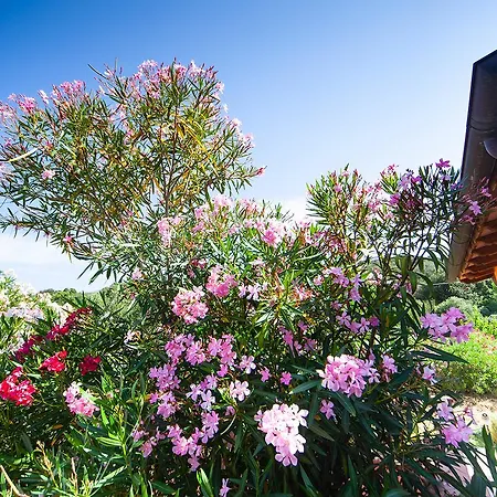 Bed & Breakfast Poggio Mariett