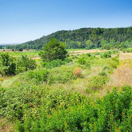 Poggio Mariett